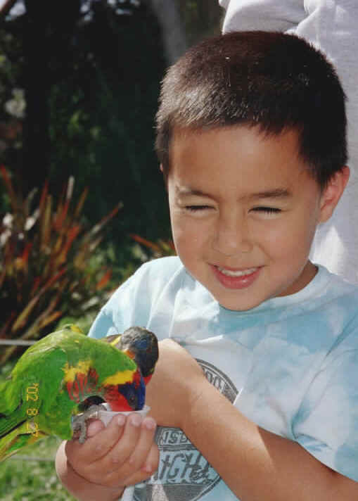 SFZoo1.JPG (99710 bytes)